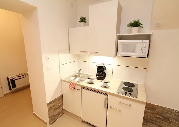 Barichgasse Apartman *